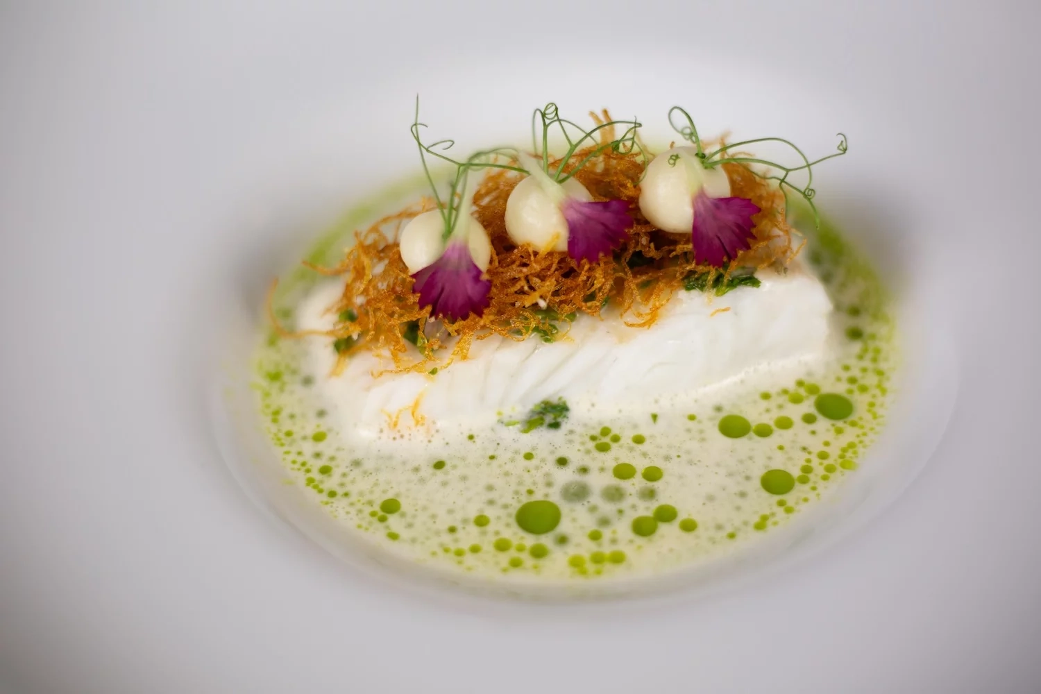 fine dining karlsruhe